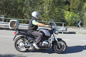 Trasportino per cani e gatti su motocicletta